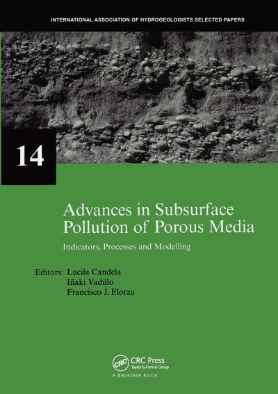 Advances in Subsurface Pollution of Porous Media