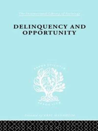 Delinquency and Opportunity