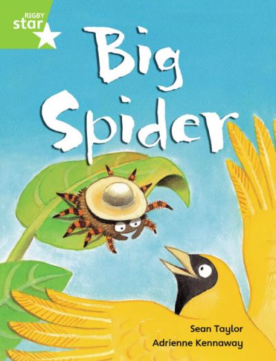 Rigby Star Guided Phonic Opportunity Readers Green