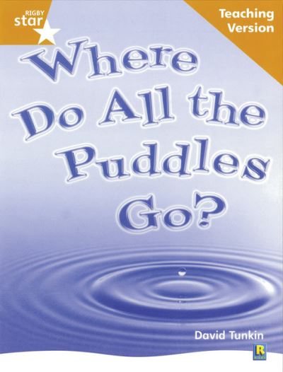 Where Do All the Puddles Go?