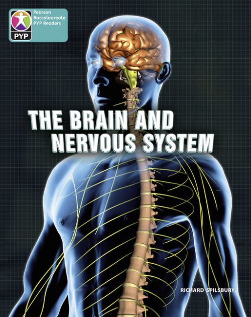 PYP L10 Brain and Nervous System Single