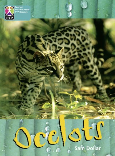 PYP L10 Ocelots Single