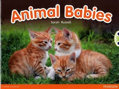 Animal Babies