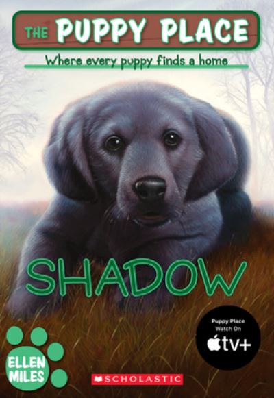Shadow