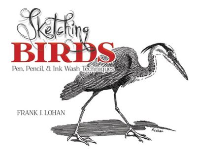 Sketching Birds