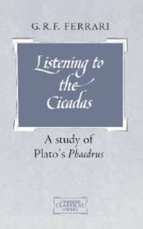 Listening to the Cicadas