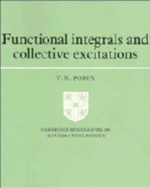 Functional Integrals and Collective Excitations