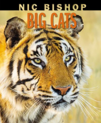 Big Cats