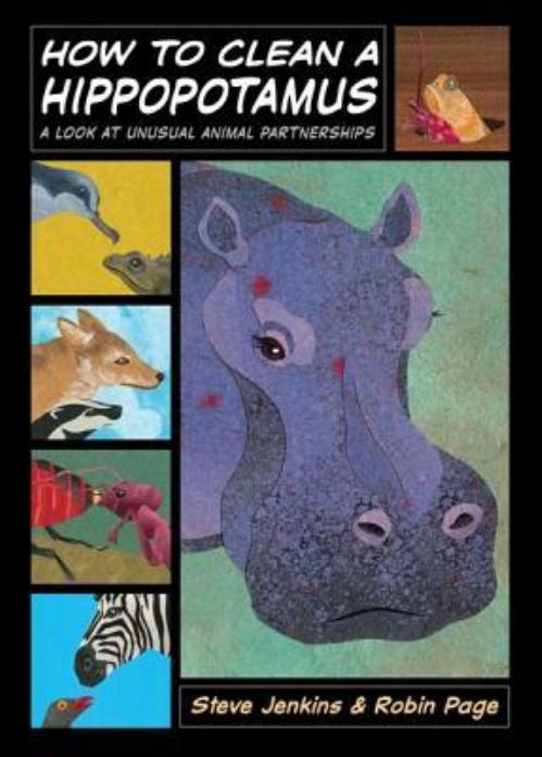 How to Clean a Hippopotamus