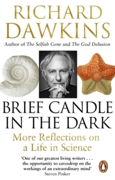 Brief Candle in the Dark