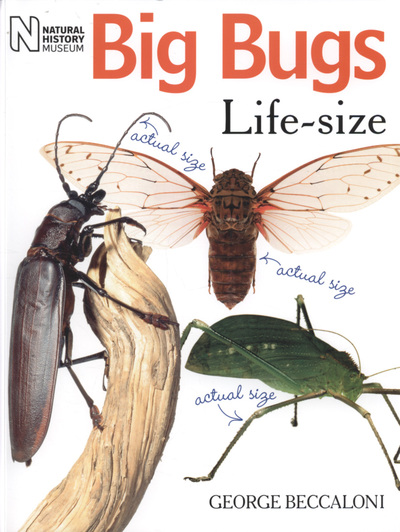 Big Bugs Life-Size