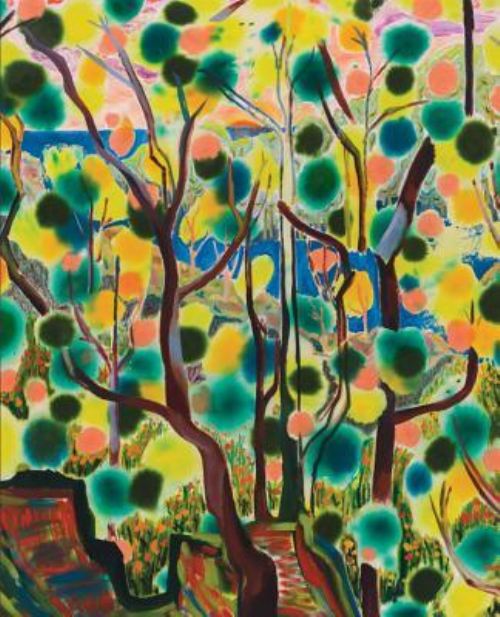 Shara Hughes