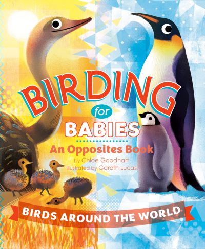 Birds Around the World