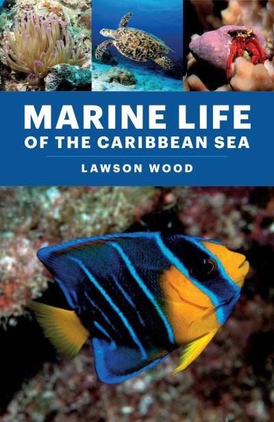 Marine Life of the Caribbean Sea