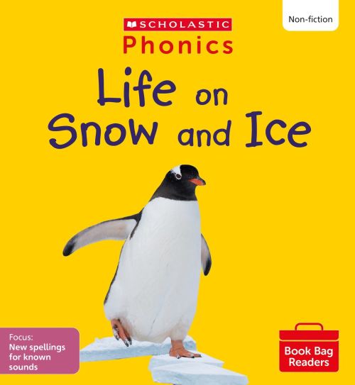Phonics Book Bag Readers. Set 11