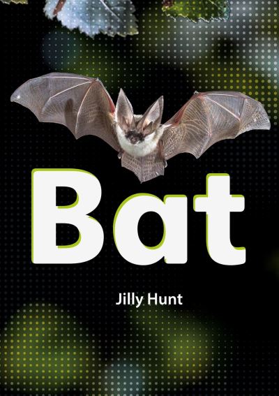 Bat
