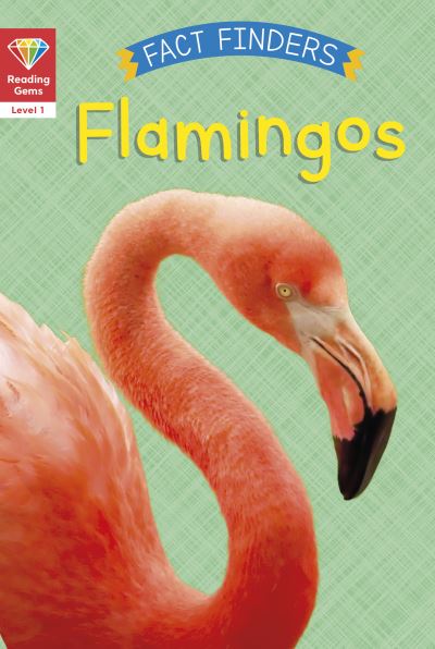 Flamingoes