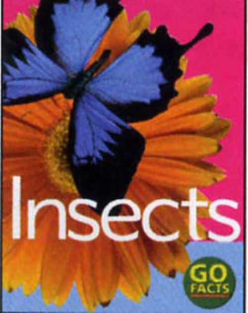 Insects