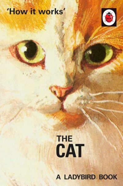 The Cat