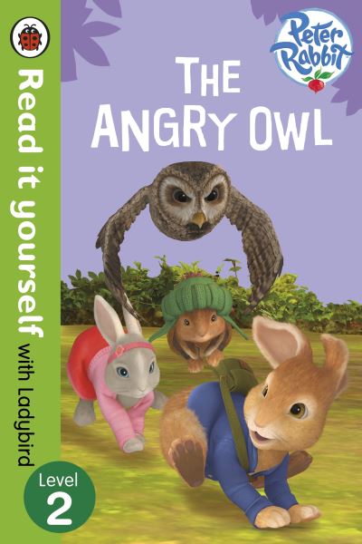 The Angry Owl