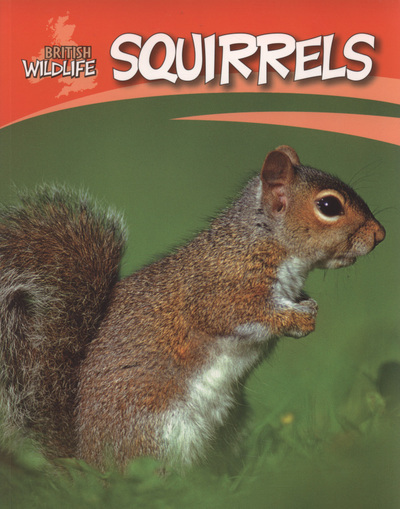 Squirrels