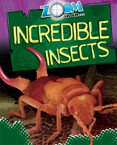 Zoom in on ... Incredible Insects