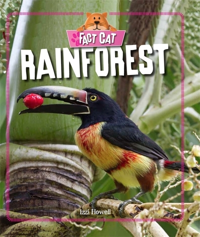 Rainforest