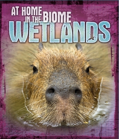 Wetlands