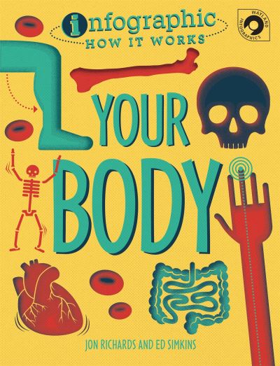 Your Body