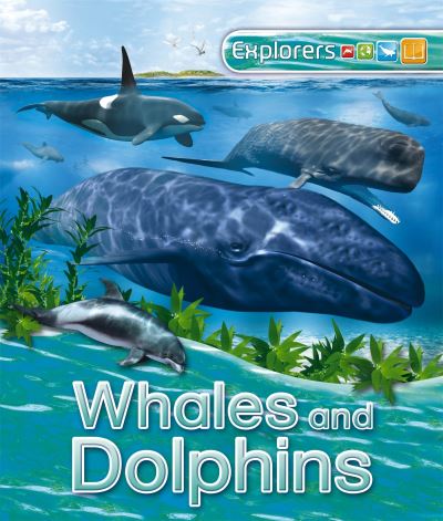 Whales and Dolphins
