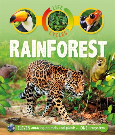Rainforest