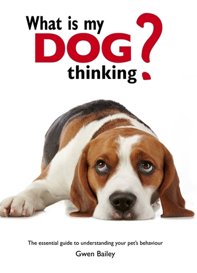 What Is My Dog Thinking?