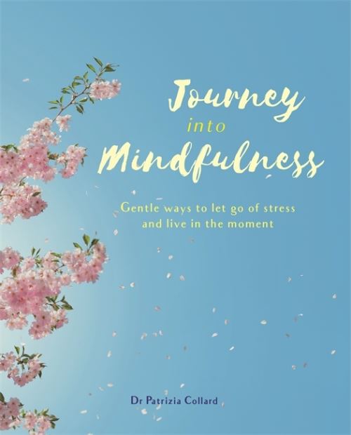 Journey Into Mindfulness