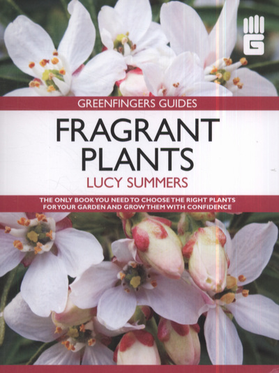 Fragrant Plants