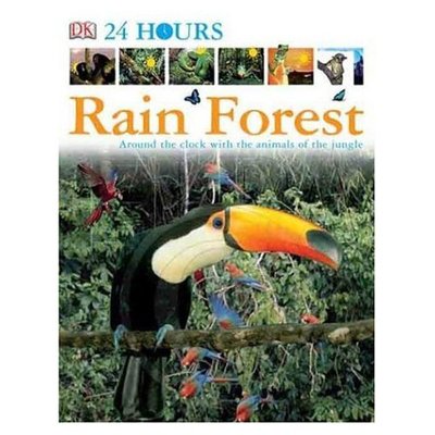 Rain Forest