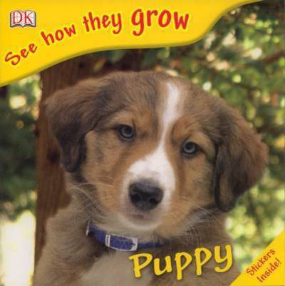 Puppy