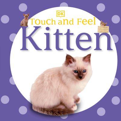 Kitten