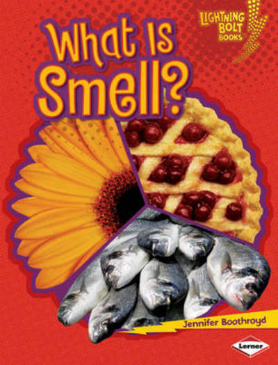 What Is Smell?