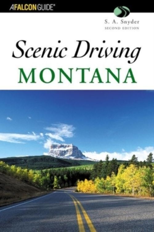 Scenic Driving