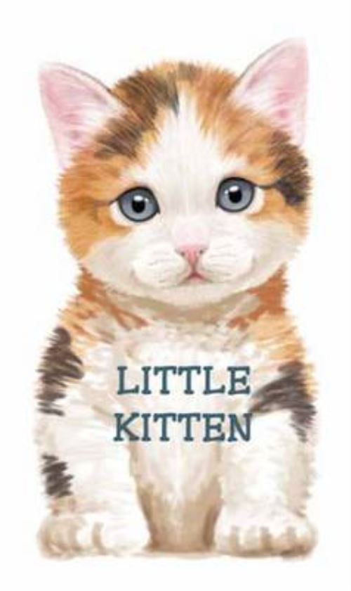 Little Kitten