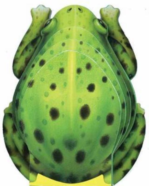 Little Frog