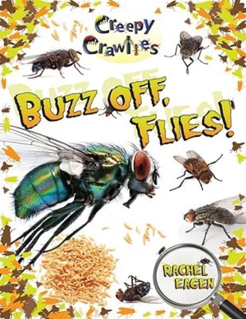 Buzz Off, Flies!