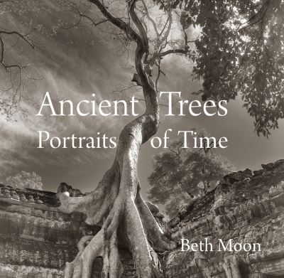 Ancient Skies, Ancient Trees