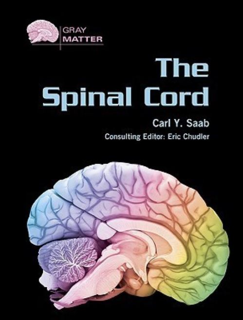 The Spinal Cord