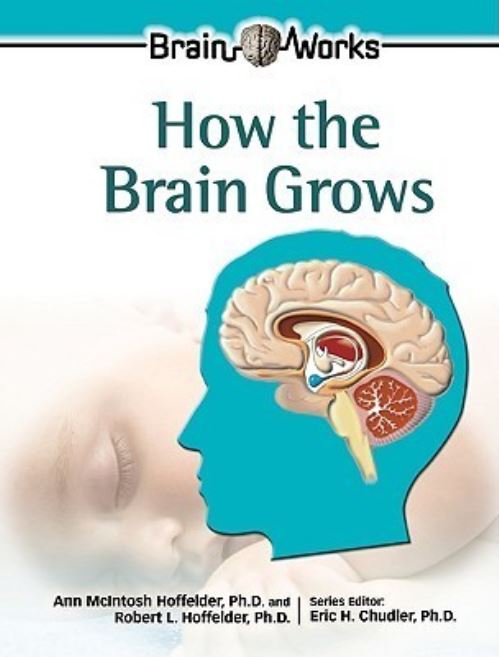 How the Brain Grows