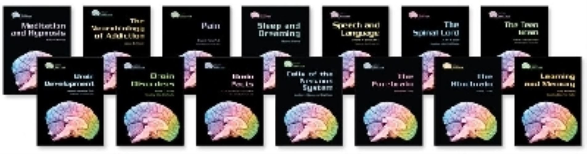 Gray Matter Set
