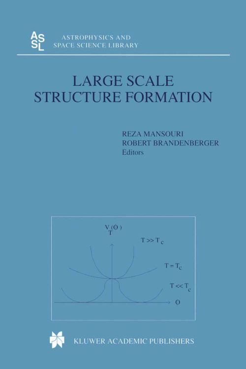 Large Scale Structure Formation