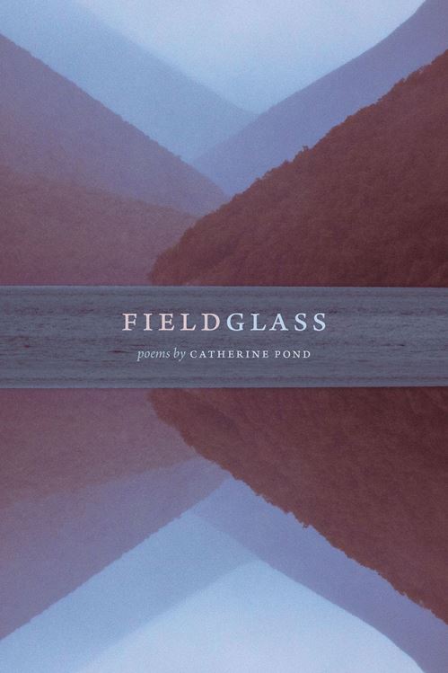 Fieldglass