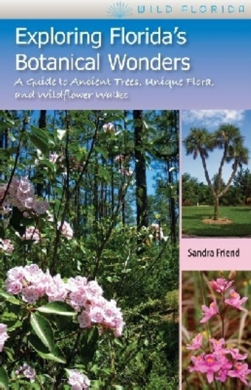 Exploring Florida's Botanical Wonders
