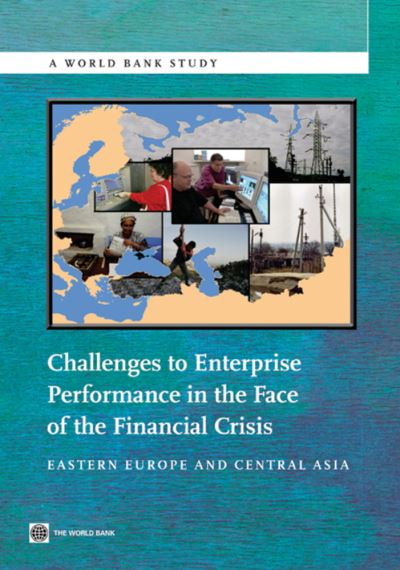 Challenges to Enterprise Performance in the Face of the Financial Crisis